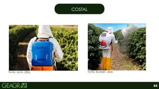 COSTAL
Fonte: Jacto ,2026. Fonte: Brudden ,2026.
44
 