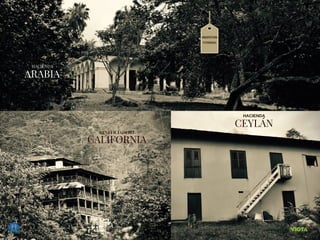 ARABIA
CEYLÁN
CALIFORNIA
ARQUITECTURA
PATRIMONIAL
HACIENDA
HACIENDA
BENEFICIADERO
 