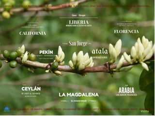 .....ARGELIA LA VIÑA LA NEPTUNA PEKÍN BUENAVISTA AFRICANA BUENOS AIRES JAVA LOS OLIVOS COSTA RICA GLASGOW ARGENTINA......
 CEYLÁN
 D E   A Q U Í   A L   Q U I N D Í O
H E C H O   E N   V I O T Á
from       1870
CALIFORNIA
COLOMBIA
LA MODERNIDAD A LA VISTA
PEKÍN
DOCE AÑOS MÁS TARDE
atala
UN REGALO A DIOS
ARABIA
LA
UN AMOR FRANCÉS
LIBERIA
..... ABONDANO SAN MIGUEL DE AMANTA FORERO REYES CALANDAIMA DE LA TORRE ORTÍZ WILLIANSON CRANE UMAÑA IREGUI AFANADOR .....
MEMORIA SOBRE EL CULTIVO DEL CAFETO
LA MAGDALENA
EL PASADO INGLÉS
CELSO ROMAN - FRANKELINA BAZURTO
FLORENCIA
HISTORIAS MEDITERRÁNEAS
DE VIOTÁ A MÓNACO
San Jorge
            Vintage                                                   1884
Sáenz     Obregón
 