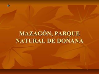 MAZAGÓN, PARQUEMAZAGÓN, PARQUE
NATURAL DE DOÑANANATURAL DE DOÑANA
 