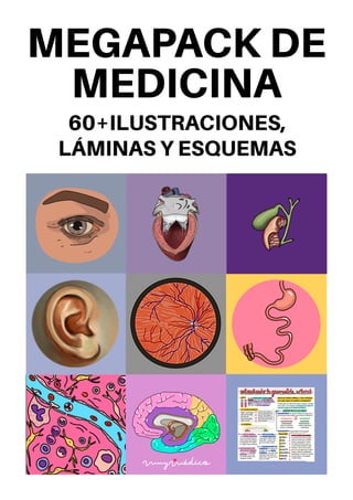 MEGAPACK DE
MEDICINA 
60+ILUSTRACIONES,
LÁMINAS Y ESQUEMAS
 