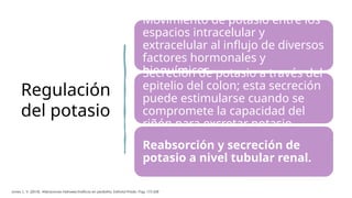 Metabolismo y alteraciones del potasio 2024 | PPTX