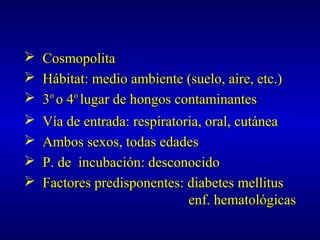  CosmopolitaCosmopolita
 Hábitat: medio ambiente (suelo, aire, etc.)Hábitat: medio ambiente (suelo, aire, etc.)
 33oo
o 4o 4oo
lugar de hongos contaminanteslugar de hongos contaminantes
 Vía de entrada: respiratoria, oral, cutáneaVía de entrada: respiratoria, oral, cutánea
 Ambos sexos, todas edadesAmbos sexos, todas edades
 P. de incubación: desconocidoP. de incubación: desconocido
 Factores predisponentes: diabetes mellitusFactores predisponentes: diabetes mellitus
enf. hematológicasenf. hematológicas
 