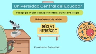 Pedagogía en Ciencias Experimentales Química y Biología
Biología general y celular
NÚCLEO
INTERFÁSICO
Universidad Central ...