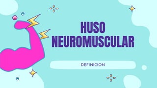 HUSO
NEUROMUSCULAR
DEFINICION
 