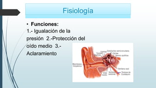 Fisiología
• Funciones:
1.- Igualación de la
presión 2.-Protección del
oído medio 3.-
Aclaramiento
 
