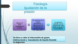 Fisiología
Igualación de la
presión
Reposo
tubo
cartilaginoso
cerrado.
En cambios de la
presión
atmosférica y
alteraciones no
fisiológicas de
presión. El tubo
se debe abrir.
La apertura
permite que la
presión del oído
medio se iguale a
la atmosférica.
Se lleva a cabo el intercambio de gases
bidireccional y trasudación de líquido Durante
la deglución.
 