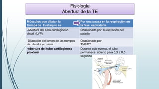 Fisiología
Abertura de la TE
Músculos que dilatan la
trompa de Eustaquio se
activan
Por una pausa en la respiración en
la fase espiratoria.
-Abertura del tubo cartilaginoso
distal (LVP)
Ocasionada por: la elevación del
paladar
-Dilatación del lumen de las trompas
de distal a proximal
Ocasionada por
TVP/DT
-Abertura del tubo cartilaginoso
proximal
Durante este evento, el tubo
permanece abierto para 0,3 a 0,5
segundo
 