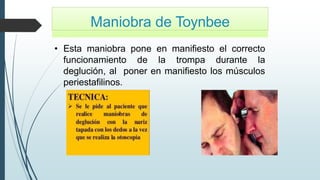 Maniobra de Toynbee
• Esta maniobra pone en manifiesto el correcto
funcionamiento de la trompa durante la
deglución, al poner en manifiesto los músculos
periestafilinos.
 