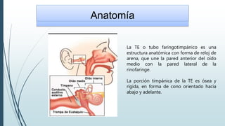 Anatomía
La TE o tubo faringotimpánico es una
estructura anatómica con forma de reloj de
arena, que une la pared anterior del oído
medio con la pared lateral de la
rinofaringe.
La porción timpánica de la TE es ósea y
rígida, en forma de cono orientado hacia
abajo y adelante.
 