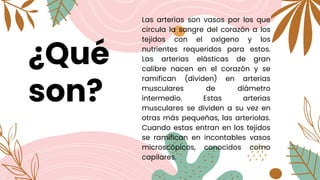 ¿Qué
son?
Las arterias son vasos por los que
circula la sangre del corazón a los
tejidos con el oxígeno y los
nutrientes requeridos para estos.
Las arterias elásticas de gran
calibre nacen en el corazón y se
ramifican (dividen) en arterias
musculares de diámetro
intermedio. Estas arterias
musculares se dividen a su vez en
otras más pequeñas, las arteriolas.
Cuando estas entran en los tejidos
se ramifican en incontables vasos
microscópicos, conocidos como
capilares.
 