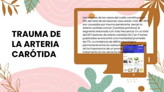 TRAUMA DE
LA ARTERIA
CARÓTIDA
Las lesiones de los vasos del cuello constituyen un
10% del total de las lesiones vasculares; más del 95%
son causadas por trauma penetrante, siendo la
arteria carótida común (carótida primitiva) el
segmento lesionado con más frecuencia. En un total
de1.607 lesiones de arteria carótida (AC) en 11 series
publicadas se encontró una mortalidad promedio
de 17%. La incidencia de déficit neurológico
permanente entre los sobrevivientes es de 40%; de
ahí la importancia de un pronto y adecuado
tratamiento en los servicios de urgencias.
 