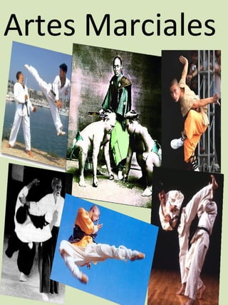 Artes Marciales
 