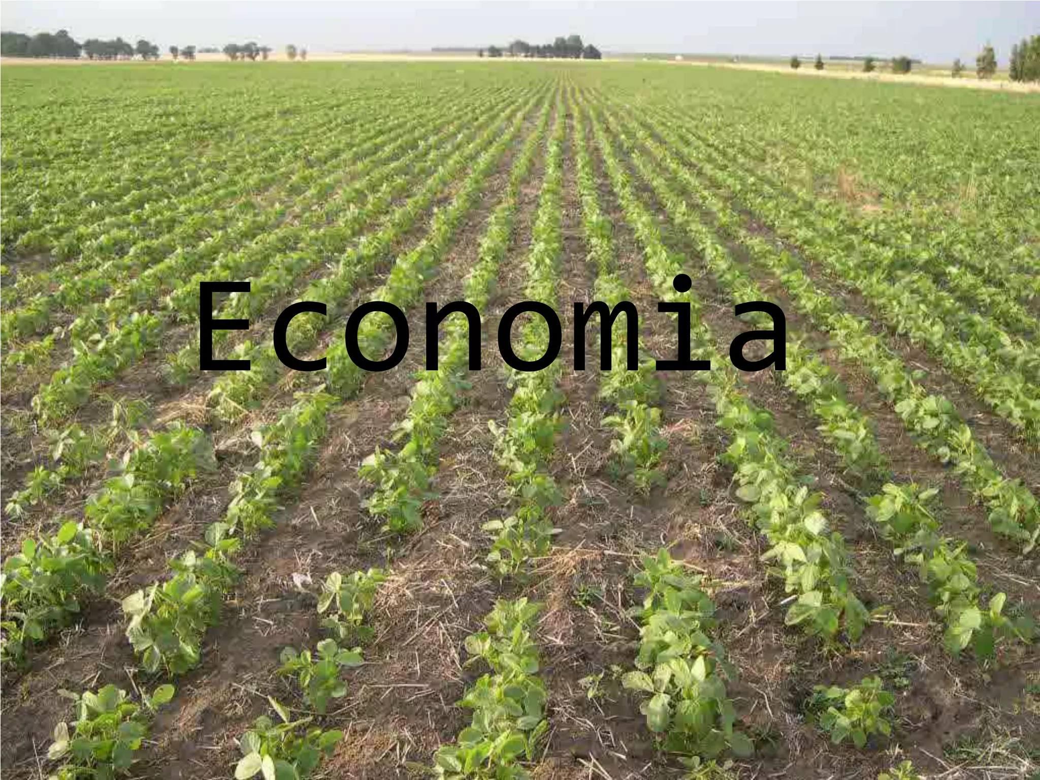 Economia
 