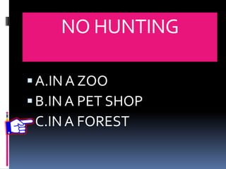 NO HUNTING
A.IN A ZOO
B.IN A PET SHOP
C.INA FOREST
 
