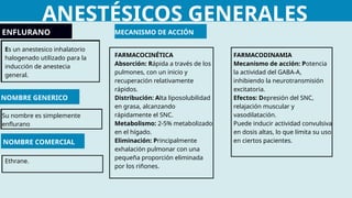 ANESTÉSICOS GENERALES
ENFLURANO
Es un anestesico inhalatorio
halogenado utilizado para la
inducción de anestecia
general.
NOMBRE GENERICO
Su nombre es simplemente
enflurano
NOMBRE COMERCIAL
Ethrane.
MECANISMO DE ACCIÓN
FARMACOCINÉTICA
Absorción: Rápida a través de los
pulmones, con un inicio y
recuperación relativamente
rápidos.
Distribución: Alta liposolubilidad
en grasa, alcanzando
rápidamente el SNC.
Metabolismo: 2-5% metabolizado
en el hígado.
Eliminación: Principalmente
exhalación pulmonar con una
pequeña proporción eliminada
por los riñones.
FARMACODINAMIA
Mecanismo de acción: Potencia
la actividad del GABA-A,
inhibiendo la neurotransmisión
excitatoria.
Efectos: Depresión del SNC,
relajación muscular y
vasodilatación.
Puede inducir actividad convulsiva
en dosis altas, lo que límita su uso
en ciertos pacientes.
 