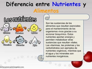 Diferencia entre Nutrientes y
Alimentos
Son las sustancias de los
alimentos que resultan esenciales
para el mantenimiento de los
organismos vivos gracias a su
accionar bioquímico. Estos
nutrientes aportan energía y
permiten metabolizar otras
sustancias que resultan vitales.
Las vitaminas, las proteínas y los
carbohidratos son ejemplos de
nutrientes orgánicos, mientras que
el agua y los minerales son
nutrientes inorgánicos.
 
