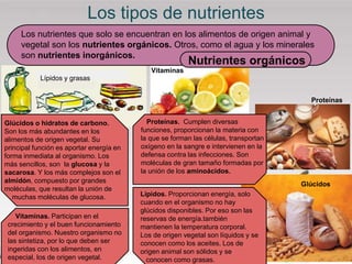 Los tipos de nutrientes
Glúcidos o hidratos de carbono.
Son los más abundantes en los
alimentos de origen vegetal. Su
principal función es aportar energía en
forma inmediata al organismo. Los
más sencillos, son la glucosa y la
sacarosa. Y los más complejos son el
almidón, compuesto por grandes
moléculas, que resultan la unión de
muchas moléculas de glucosa.
Los nutrientes que solo se encuentran en los alimentos de origen animal y
vegetal son los nutrientes orgánicos. Otros, como el agua y los minerales
son nutrientes inorgánicos.
Nutrientes orgánicos
Proteínas. Cumplen diversas
funciones, proporcionan la materia con
la que se forman las células, transportan
oxígeno en la sangre e intervienen en la
defensa contra las infecciones. Son
moléculas de gran tamaño formadas por
la unión de los aminoácidos.
Lípidos. Proporcionan energía, solo
cuando en el organismo no hay
glúcidos disponibles. Por eso son las
reservas de energía.también
mantienen la temperatura corporal.
Los de origen vegetal son líquidos y se
conocen como los aceites. Los de
origen animal son sólidos y se
conocen como grasas.
Vitaminas. Participan en el
crecimiento y el buen funcionamiento
del organismo. Nuestro organismo no
las sintetiza, por lo que deben ser
ingeridas con los alimentos, en
especial, los de origen vegetal.
Vitaminas
Glúcidos
Proteínas
Lípidos y grasas
 