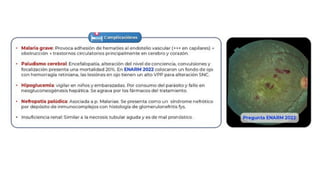Li Born Vector Comprehensive Overview of Vector-Borne Diseases: Dengue, Zika ...