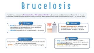 Li Born Vector Comprehensive Overview of Vector-Borne Diseases: Dengue, Zika ...