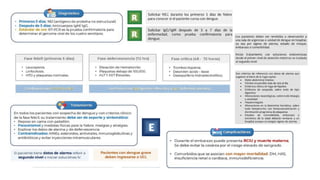 Li Born Vector Comprehensive Overview of Vector-Borne Diseases: Dengue, Zika ...