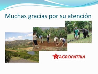Muchas gracias por su atención
 