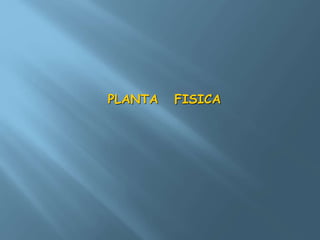 PLANTA FISICA 
 