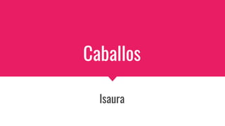 Caballos
Isaura
 