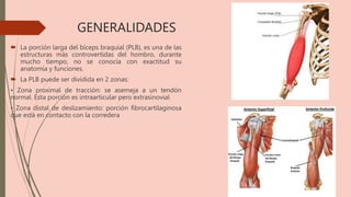 GENERALIDADES
 La porción larga del bíceps braquial (PLB), es una de las
estructuras más controvertidas del hombro, durante
mucho tiempo, no se conocía con exactitud su
anatomía y funciones.
 La PLB puede ser dividida en 2 zonas:
• Zona proximal de tracción: se asemeja a un tendón
normal. Esta porción es intraarticular pero extrasinovial
• Zona distal de deslizamiento: porción fibrocartilaginosa
que está en contacto con la corredera
 