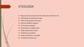ETIOLOGÍA
 Algunas de las causas más frecuentes de esta lesión son:
 Sobrecarga muscular del bíceps
 Falta de elongación del bíceps
 Roturas fibrilares antiguas
 Contusiones antiguas
 Sobrecarga en trabajo físico
 Tejido aponeurótico tenso
 Problemas vasculares
 Falta de ejercicio y movilidad
 Tendinitis próximas, etc.
 