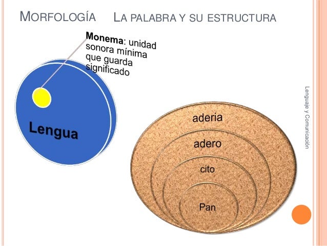Principales elementos estructurales de la lengua
