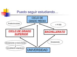 Puedo seguir estudiando… CICLO DE GRADO SUPERIOR BACHILLERATO UNIVERSIDAD Prueba de acceso + 4º ESO Directamente si misma familia Directamente Convalidación asignaturas CICLO DE GRADO MEDIO 
