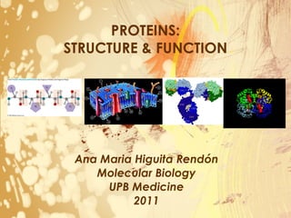 PROTEINS: STRUCTURE & FUNCTION Ana Maria Higuita Rendón Molecular Biology UPB Medicine 2011 