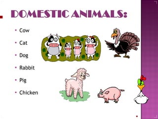 Cow Cat Dog Rabbit Pig Chicken  