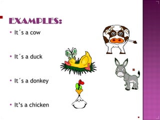 It´s a cow It´s a duck It´s a donkey It’s a chicken  