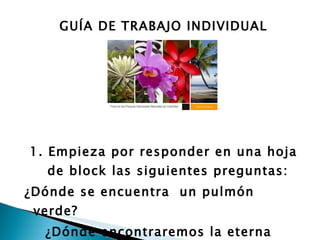 GUÍA DE TRABAJO INDIVIDUAL 1. Empieza por responder en una hoja de block las siguientes preguntas: ¿Dónde se encuentra  un pulmón  verde? ¿Dónde encontraremos la eterna  primavera ? 