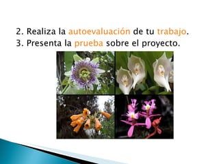 2. Realiza la  autoevaluación  de tu  trabajo .  3. Presenta la  prueba  sobre el proyecto. 