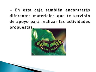 - En esta caja también encontrarás diferentes materiales que te servirán de apoyo para realizar las actividades propuestas.   