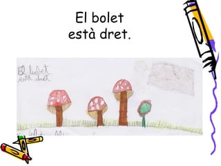 El bolet
està dret.
 