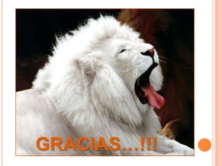GRACIAS…!!!