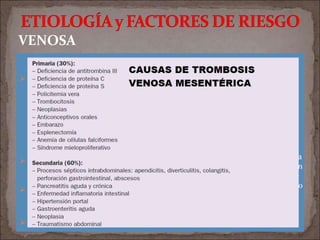  TROMBOSIS AGUDA
 T. SUBAGUDA: dolor abd.
 T. CRÓNICA: indolora, varices gastroesofágicas
 IFS: en la obstrucción intestinal con estrangulación
No se considera
IMA. Se forman
colaterales que
evitan el infarto
intestinal
VENOSA
Necesidad de afectación
extensa del eje
esplenoportal
 