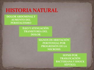 DOLOR ABDOMINAL Y
AUMENTO DEL
PERISTALTISMO
ÍLEO Y ATENUACIÓN
TRANSITORIA DEL
DOLOR
SIGNOS DE IRRITACIÓN
PERITONEAL POR
PROGRESIÓN DE LA
NECROSIS
SEPSIS POR
TRASLOCACIÓN
BACTERIANA Y SHOCK
SÉPTICO.
 