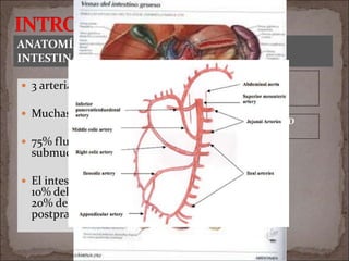  3 arterias ppales.
 Muchas colaterales
 75% flujo mucosa y
submucosa
 El intestino delgado:
10% del GC ayunas y
20% del GC
postprandial.
ANATOMÍA Y FISIOLOGÍA DE LA CIRCULACIÓN
INTESTINAL
TRONCO CELIACO
A. MESENTÉRICA SUPERIOR*
A. MESENTÉRICA INFERIOR
A. MARGINAL DE DRUMMOND
ARCO DE RIOLANO
 