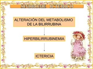 Criação Ria Slides ALTERACIÓN DEL METABOLISMO  DE LA BILIRRUBINA HIPERBILIRRUBINEMIA ICTERICIA 
