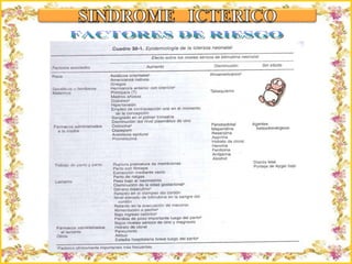 Criação Ria Slides FACTORES DE RIESGO 