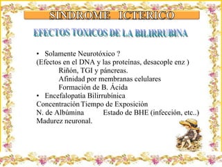 Solamente Neurotóxico ? (Efectos en el DNA y las proteínas, desacople enz ) Riñón, TGI y páncreas.  Afinidad por membranas celulares Formación de B. Ácida  Encefalopatía Bilirrubínica Concentración Tiempo de Exposición N. de Albúmina  Estado de BHE (infección, etc..) Madurez neuronal. Criação Ria Slides EFECTOS TOXICOS DE LA BILIRRUBINA 