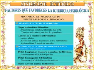 Criação Ria Slides Ceriani,  José. Neonatología práctica. 4ª Ed,  2009;  pág 562. FACTORES QUE FAVORECEN LA ICTERICIA FISIOLÓGICA MECANISMO  DE  PRODUCCION  DE  HIPEBILIRRUBINEMIA  FISIOLOGICA AUMENTO DE LA OFERTA DE BILIRRUBINA : Mayor producción de Bilirrubina: . Mayor masa de hematíes, vida media más corta. . Turnover acelerado de proteínas del grupo heme. Aumento de la circulación enterohepática: . Ayuno relativo . Evacuación lenta de meconio que es rica en Bilirrubina (reabsorción de B a partir de meconio) DISMINUCION EN LA ELIMINACION DE BILIRRUBINA .  Alteración en uno o más de los siguientes pasos:   Déficit de captación y transporte intracelular de Bilirrubina: . Menor concentración de la Ligandina Déficit de conjugación de Bilirrubina: . Menor actividad de la Glucoroniltransferasa Menor excreción hepática de Bilirrubina 