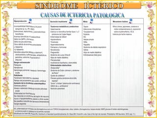 Criação Ria Slides CAUSAS DE ICTERICIA PATOLOGICA 