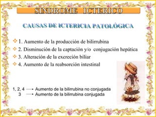 Criação Ria Slides 1 . Aumento de la producción de bilirrubina 2. Disminución de la captación y/o  conjugación hepática 3. Alteración de la excreción biliar 4. Aumento de la reabsorción intestinal 1, 2, 4  Aumento de la bilirrubina no conjugada 3  Aumento de la bilirrubina conjugada CAUSAS DE ICTERICIA PATOLÓGICA 