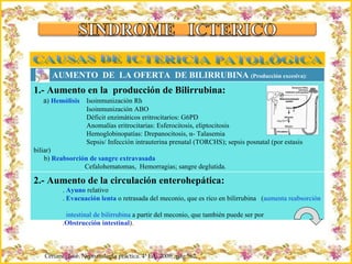 Criação Ria Slides Ceriani,  José. Neonatología práctica. 4ª Ed,  2009;  pág 562. CAUSAS DE ICTERICIA PATOLÓGICA AUMENTO  DE  LA OFERTA  DE BILIRRUBINA  (Producción excesiva) : 1.- Aumento en la  producción de Bilirrubina: a )  Hemólisis  Isoinmunización Rh Isoinmunización ABO Déficit enzimáticos eritrocitarios: G6PD Anomalías eritrocitarias: Esferocitosis, eliptocitosis Hemoglobinopatías: Drepanocitosis, α- Talasemia Sepsis/ Infección intrauterina prenatal (TORCHS); sepsis posnatal (por estasis biliar) b)  Reabsorción de sangre extravasada  Cefalohematomas,  Hemorragias; sangre deglutida. c)  Poliglobulia o policitemia  ( hipoxia, transfusión materno-fetal) 2.- Aumento de la circulación enterohepática: .  Ayuno  relativo .   Evacuación lenta   o retrasada del meconio, que es rico en bilirrubina  ( aumenta reabsorción  intestinal de bilirrubina  a partir del meconio, que también puede ser por  . Obstrucción intestinal ). 